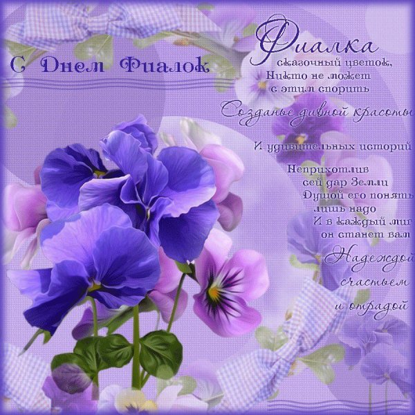 Поздравляю с днем рождения фиалки