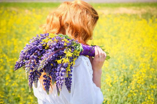 Девушка шатенка со спины