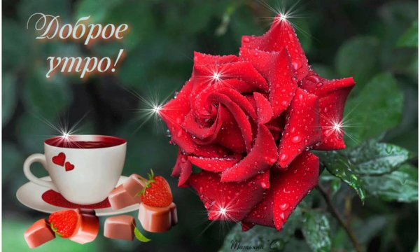 Открытки с добрым утром