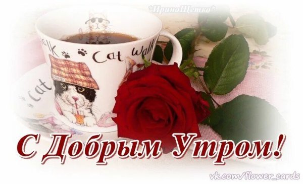 Добрый день любимая