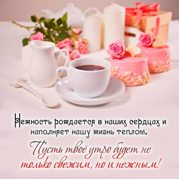 С добрым утром цветы