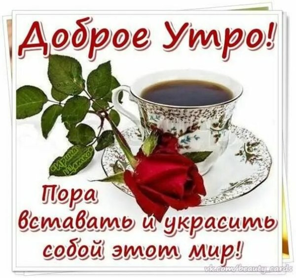 Доброе утро цветы красивые пожелания