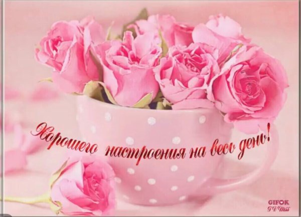 С добрым утром цветы