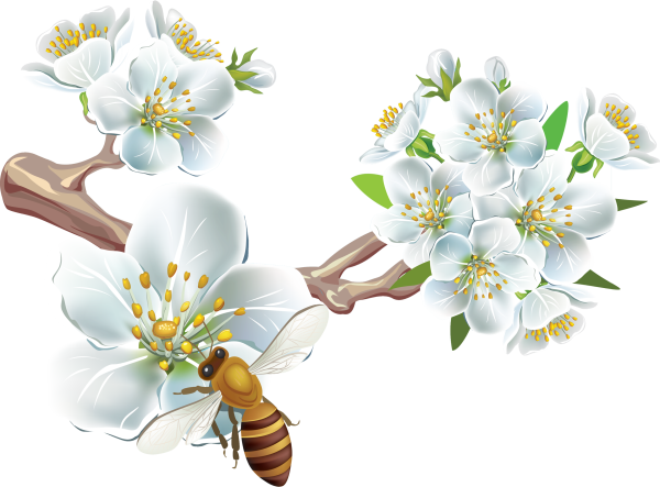 Весна на прозрачном фоне