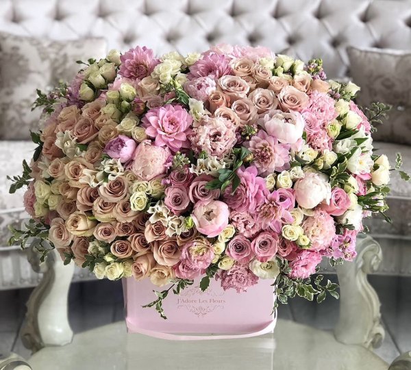 Стильные цветы