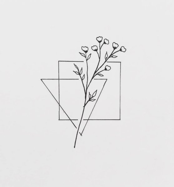 Цветы карандашом необычные