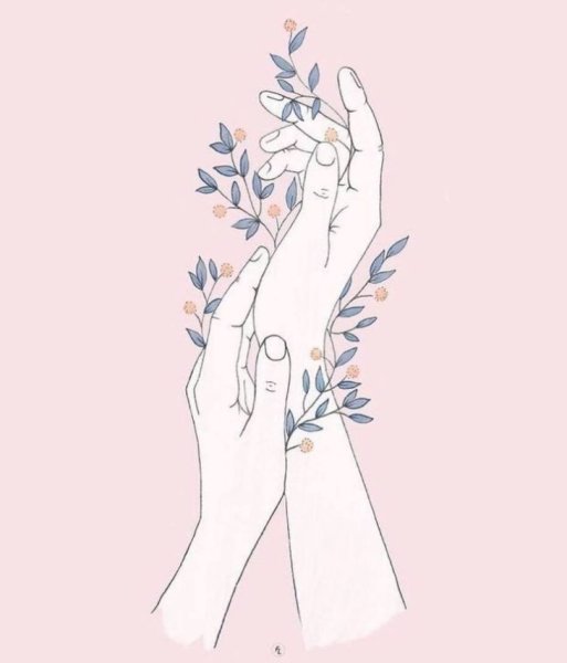 Растения рисунки Эстетика