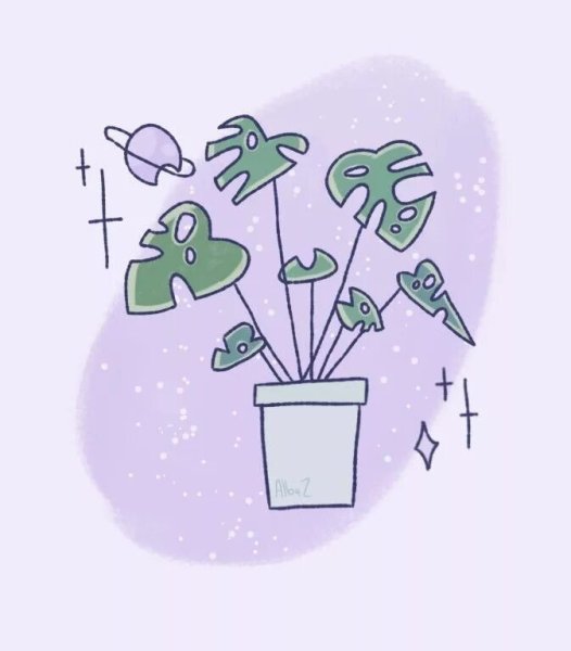 Растения для срисовки