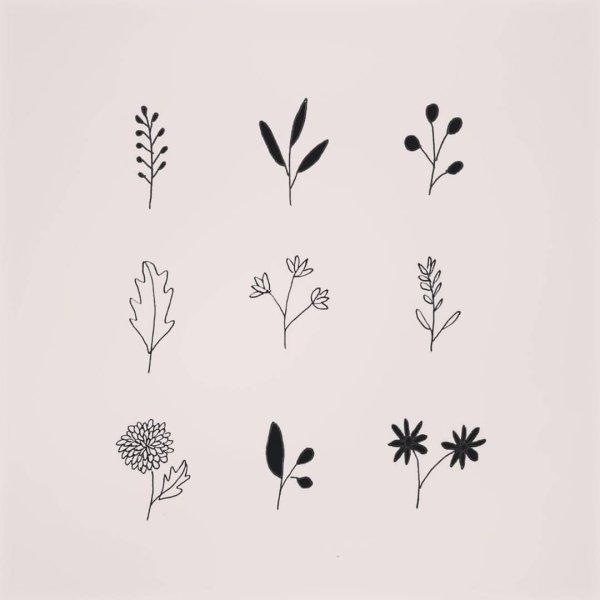 Эстетика цветы для срисовки