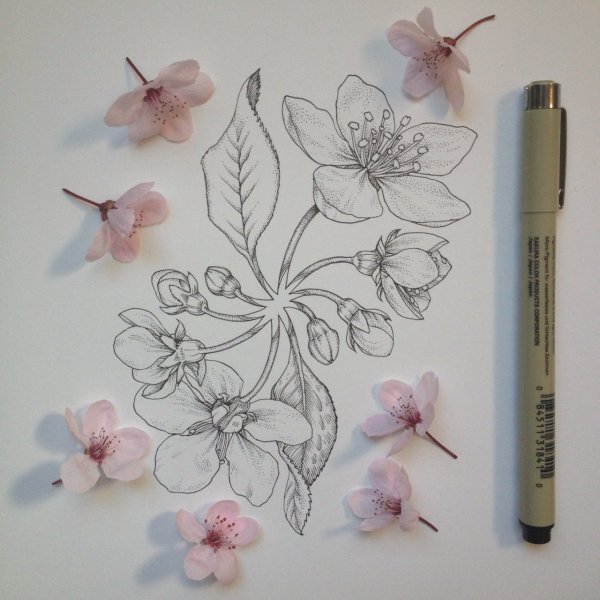 Ботанический дудлинг