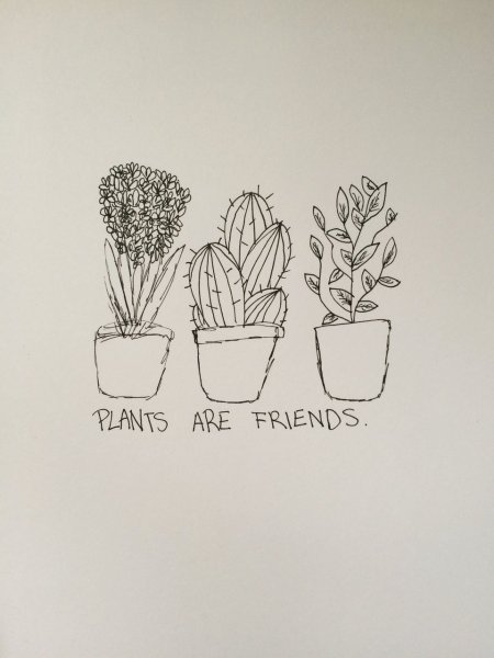 Зарисовки цветов Минимализм