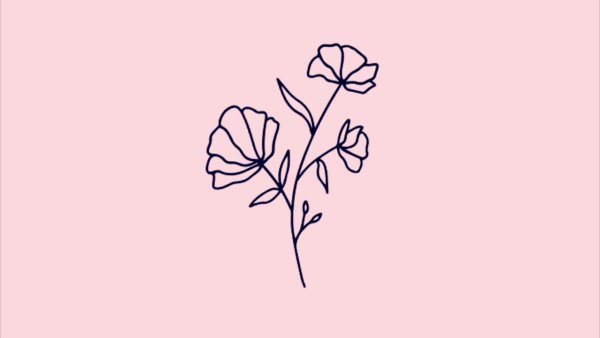 Рисунки для срисовки растения