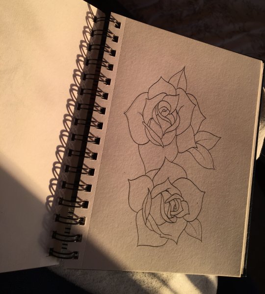 Цветы Минимализм