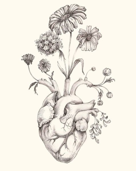 Минимализм рисунки для срисовки