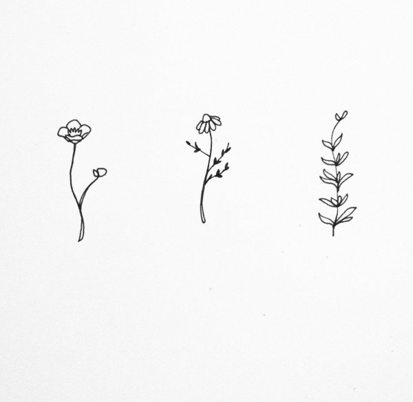 Арты цветов