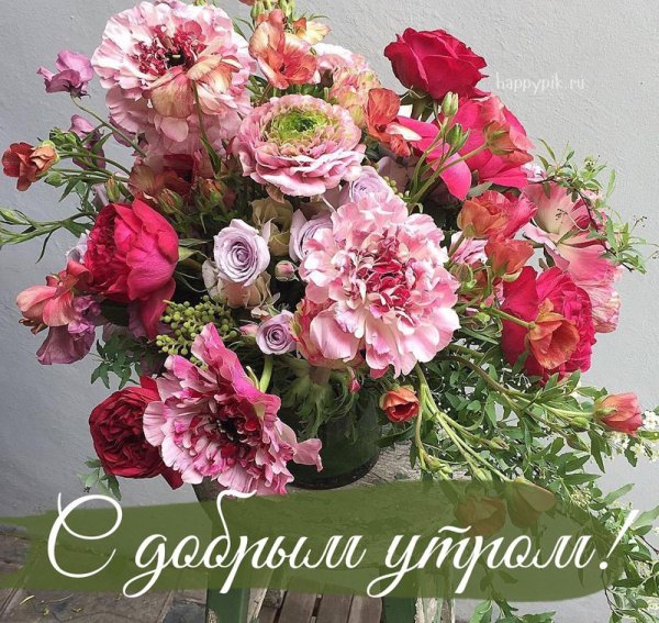 С добрым утром цветы красивые