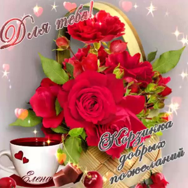 Красивый букет роз