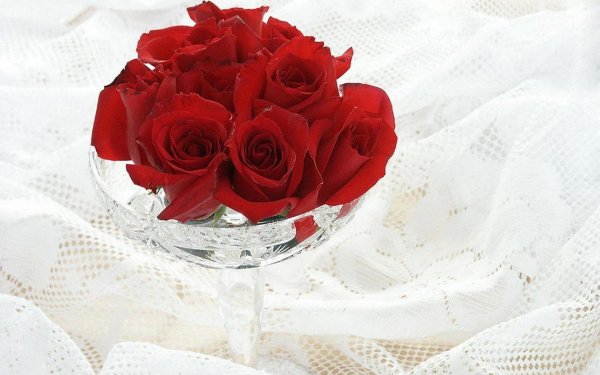 Красивые цветы для любимой женщины