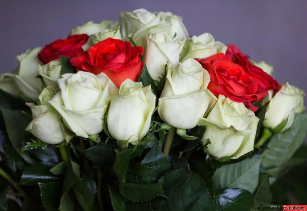 Цветы для самой красивой