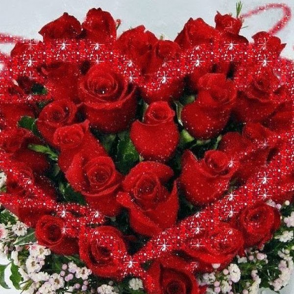 Цветы подарок для девушки