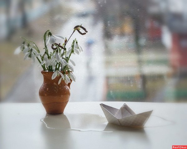 Подснежники на подоконнике