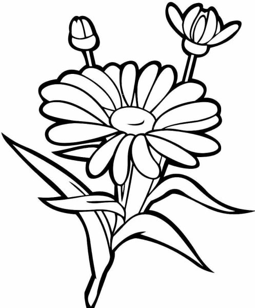 Ветка раскраска