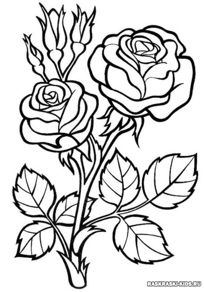 Цветы. Раскраска для малышей