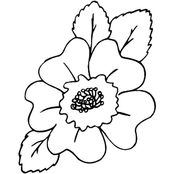 Цветок для раскрашивания детям