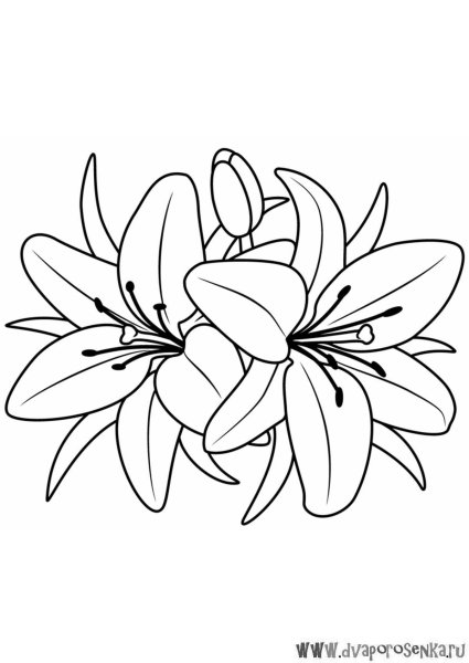 Раскраска цветы для детей 3-4