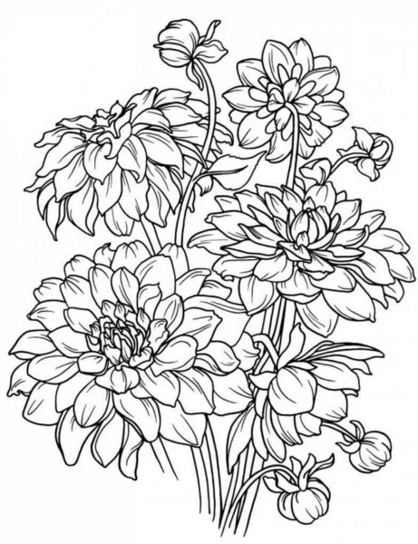 Цветы раскраска для детей