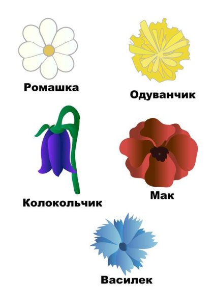Василек карточка для детей