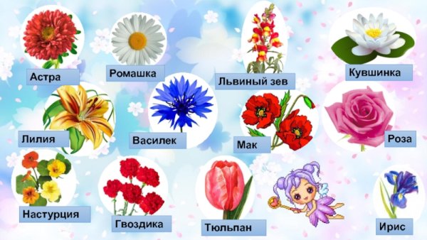 Ромашка карточка для детей