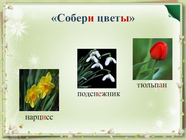 Ландыши колокольчики подснежники