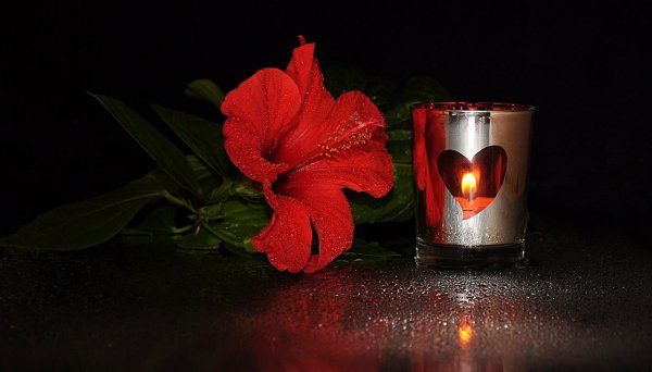 Свеча и цветы траур