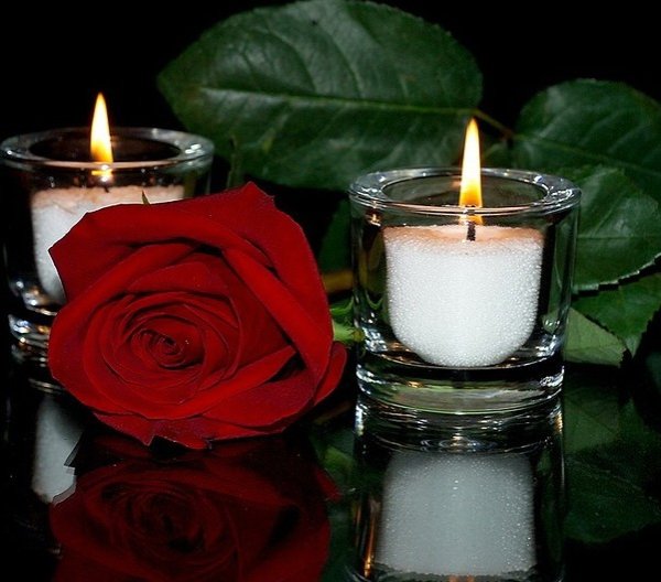 Светлая память цветы