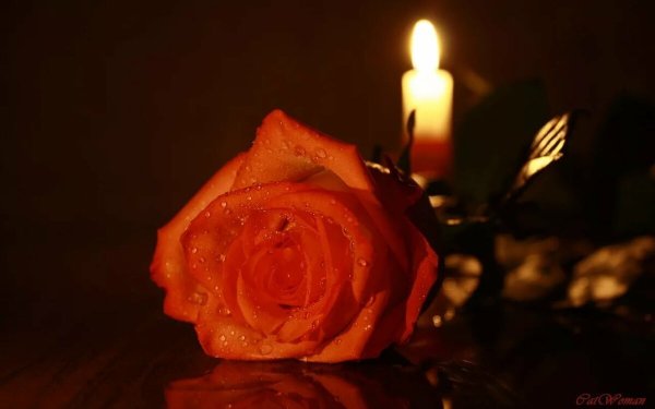 Сосуд она в котором пустота или огонь мерцающий в сосуде