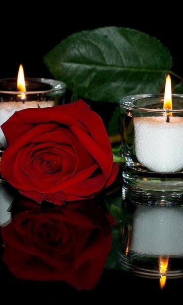 Свеча памяти и цветы