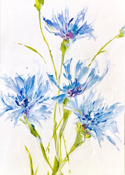 Ботаническая иллюстрация Василек акварель