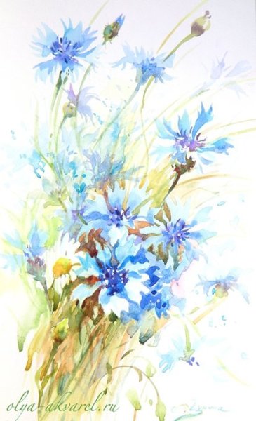 Акварель цветы васильки
