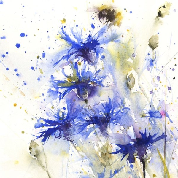 Акварель цветы васильки