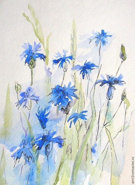 Васильки акварелью