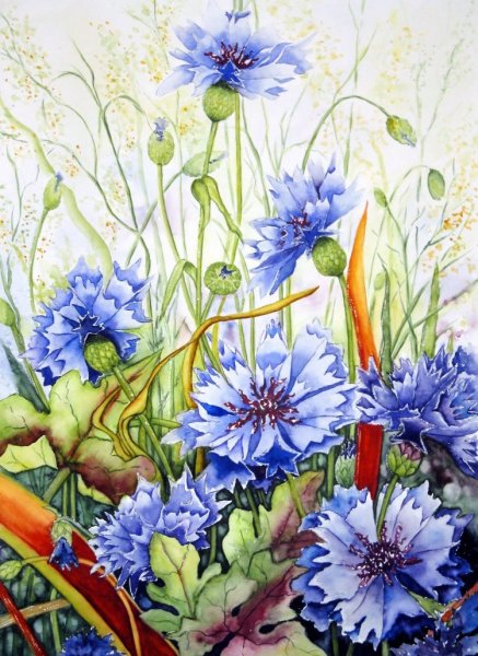 Васильки акварелью