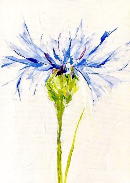 Васильки акварелью