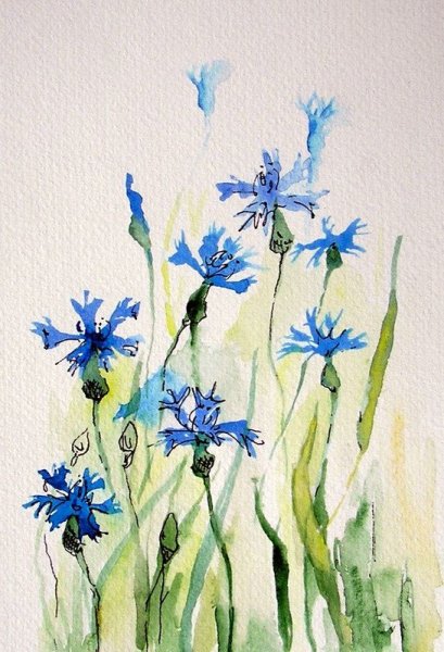 Василек акварель