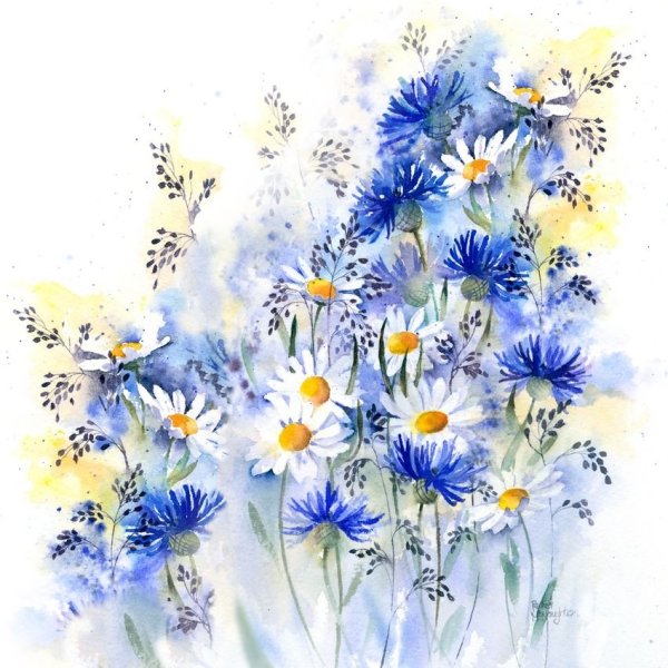 Rachel MCNAUGHTON акварель