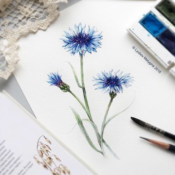 Ирина Бржевская васильки