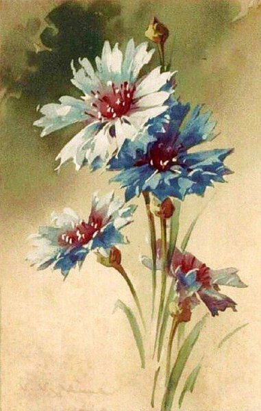 Васильки акварелью