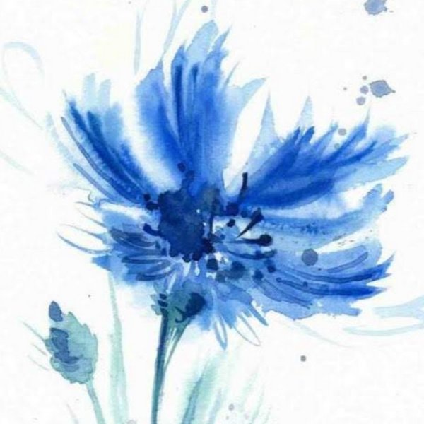 Васильки акварелью