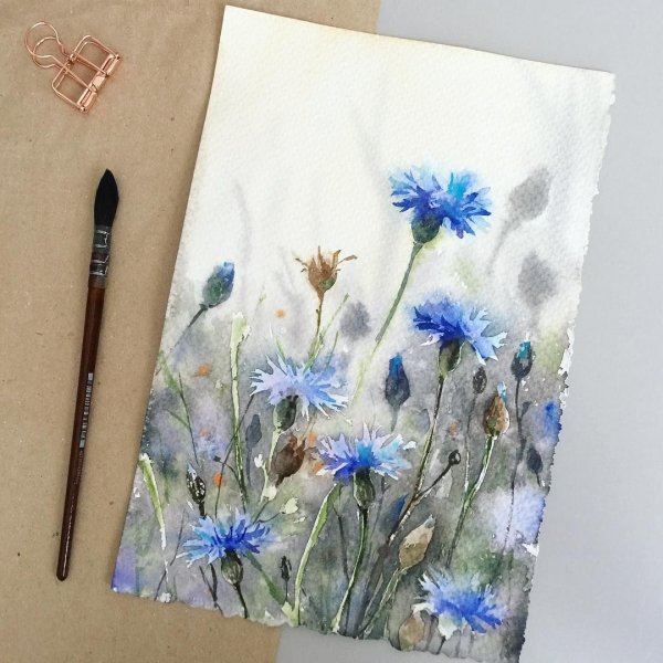 Васильки акварелью