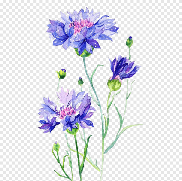 Поляна с цветами красками